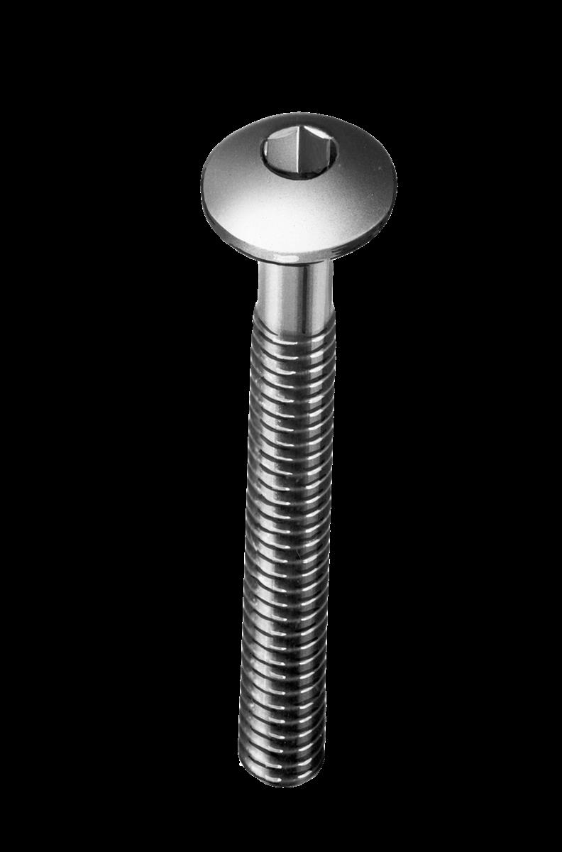 FLACHRUNDSCHRAUBE.M6X50  10Stck.silberStahl