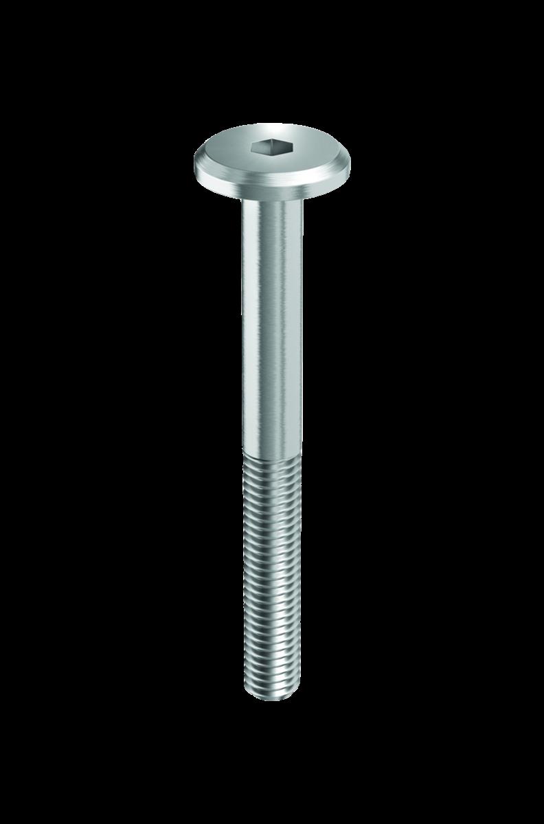 FLACHKOPFSCHRAUBE.M6X40  10Stck.silberMetall